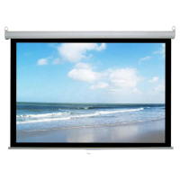 Projector Screen