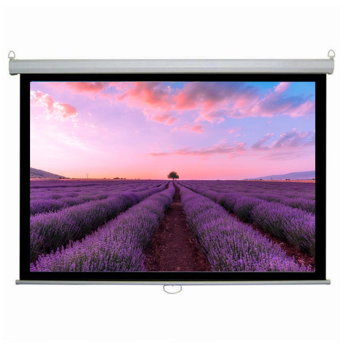 NP Tech| Nptech 100" (7ft x 5ft) Insta-lock D Premium Series Projector ...